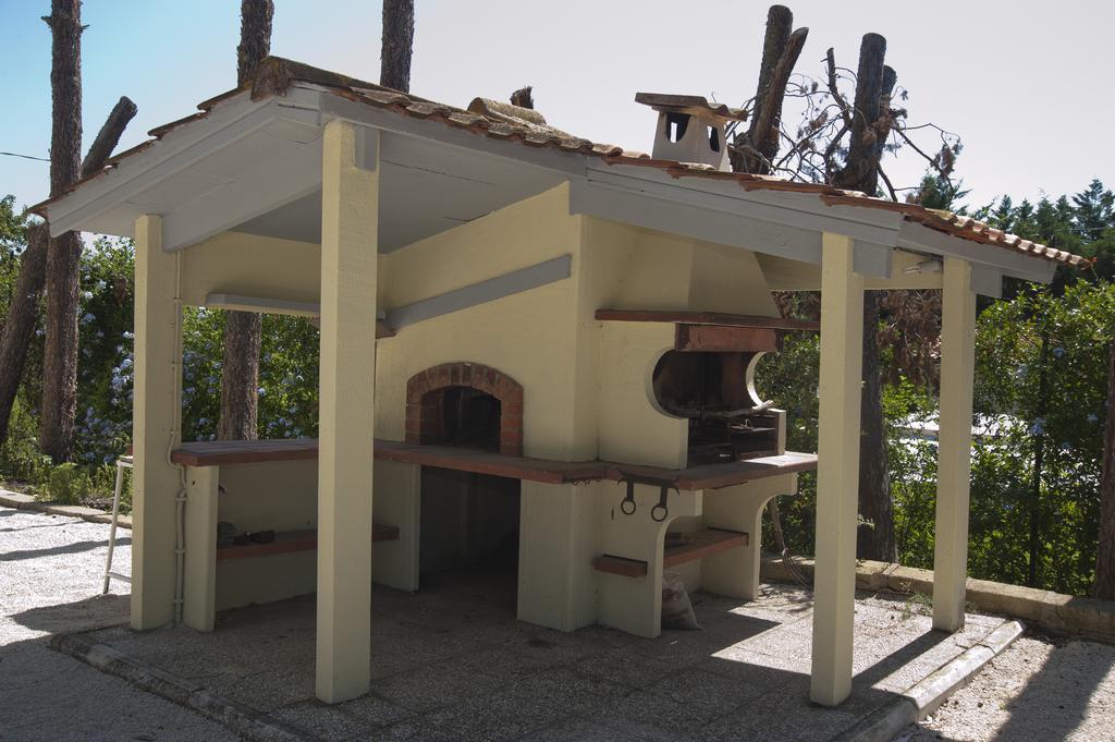 Domus In Viridi Bed & Breakfast Rome Bagian luar foto